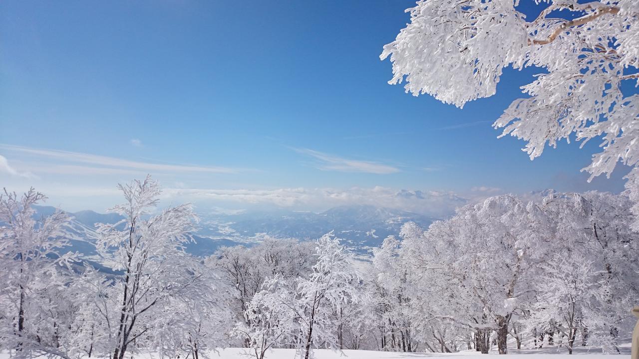 Nozawa Dream Hotel Екстериор снимка