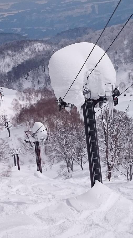 Nozawa Dream Hotel Екстериор снимка