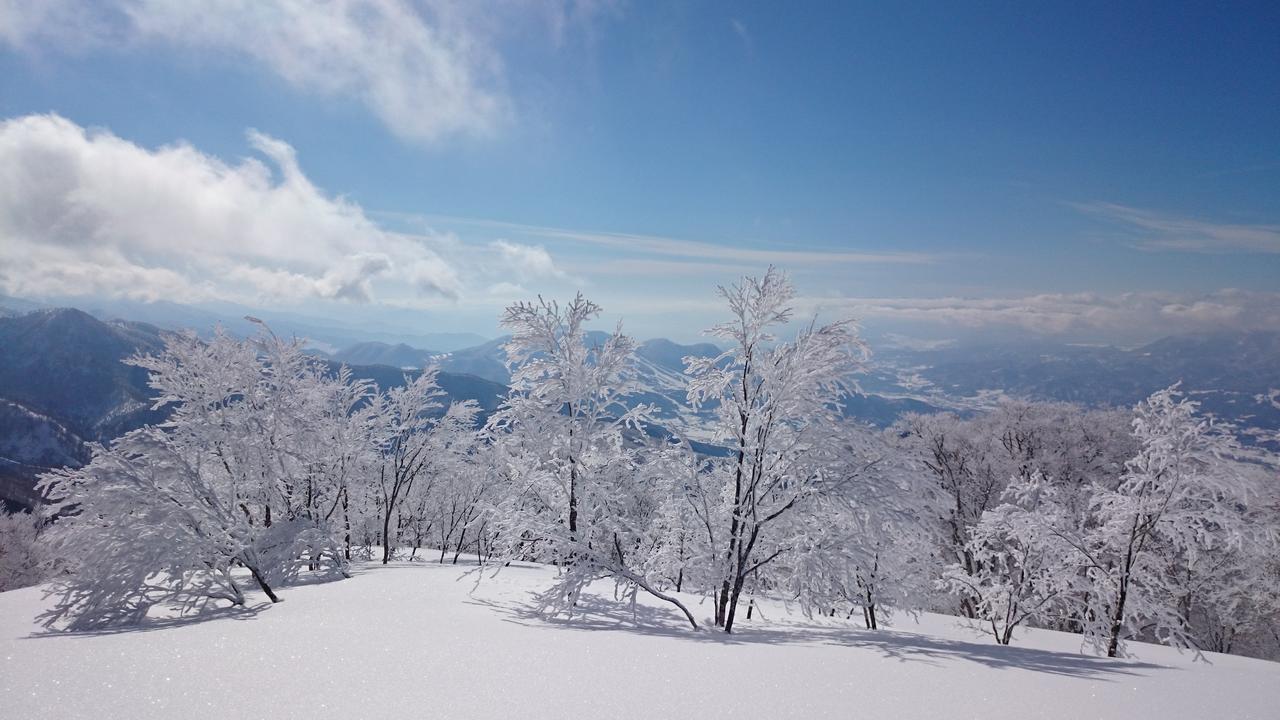 Nozawa Dream Hotel Екстериор снимка