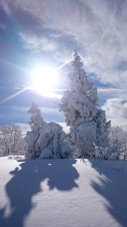 Nozawa Dream Hotel Екстериор снимка